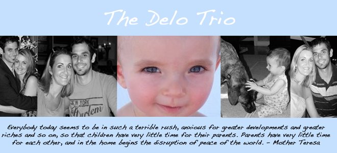 The Delo Trio