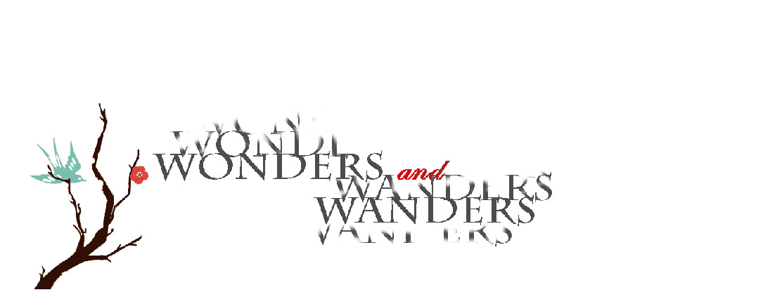 Wonders and Wanders