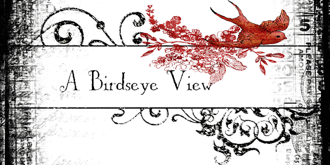 A Birdseye View