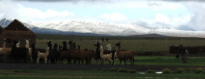 El llamero