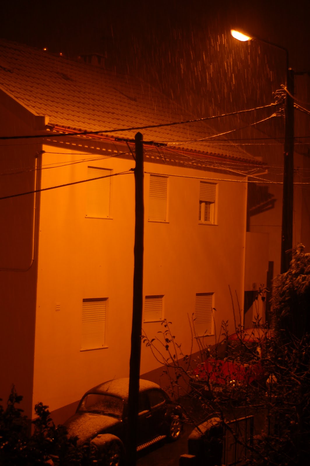 [DSC_0001.JPG]
