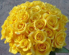Yellow Roses Wedding Bouquets Ideas