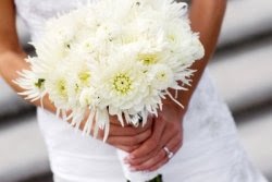 Bouquet Bridal: Spider Mum Bouquet