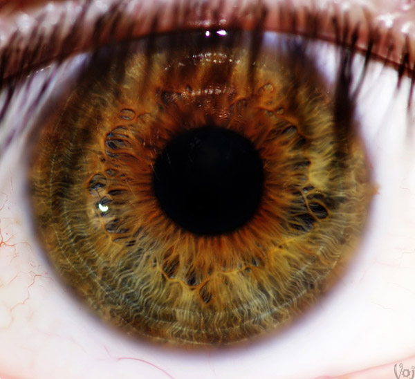 rare hazel eyes rare hazel eyes
