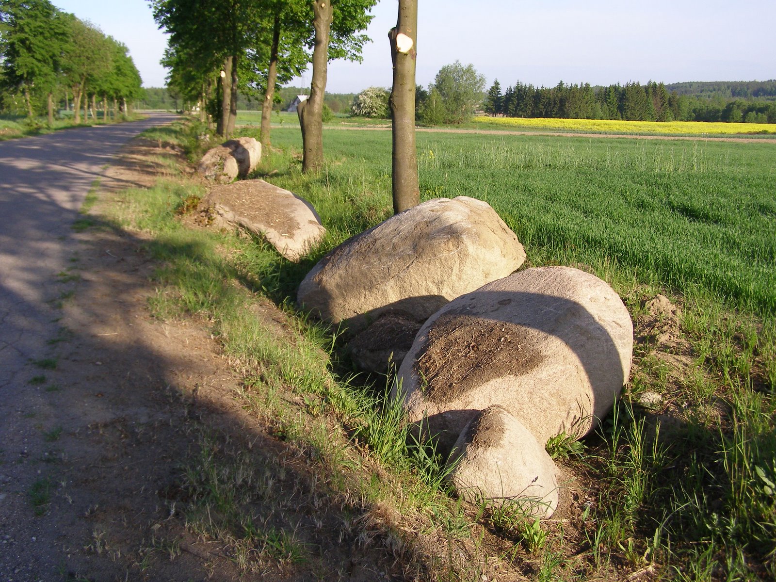 [P1010356.JPG]