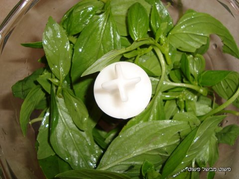 [DSC01782.jpg]