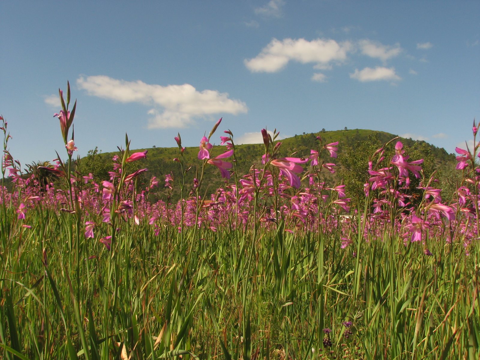 [IMG_6480[1]]