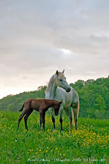 24 Hours Old