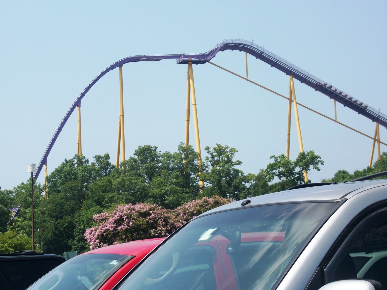 The Griffin Rollercoaster