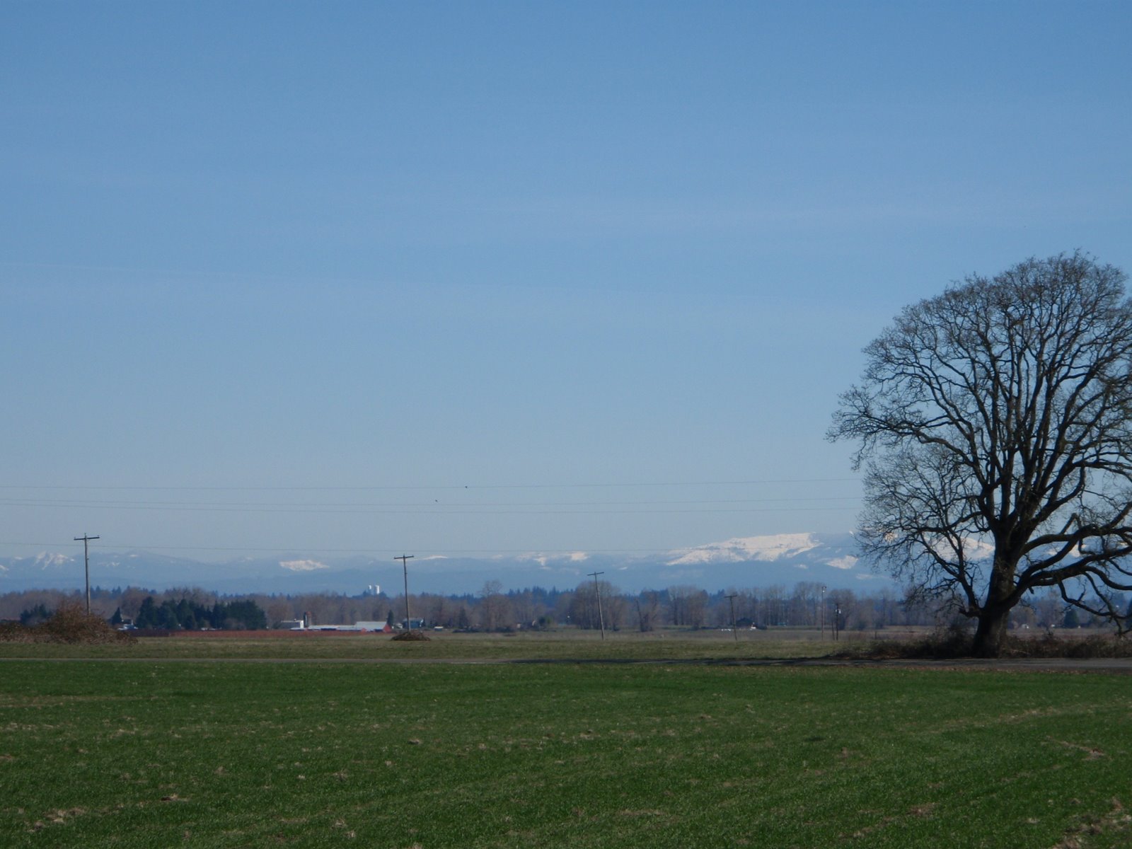 [P3120009.JPG]