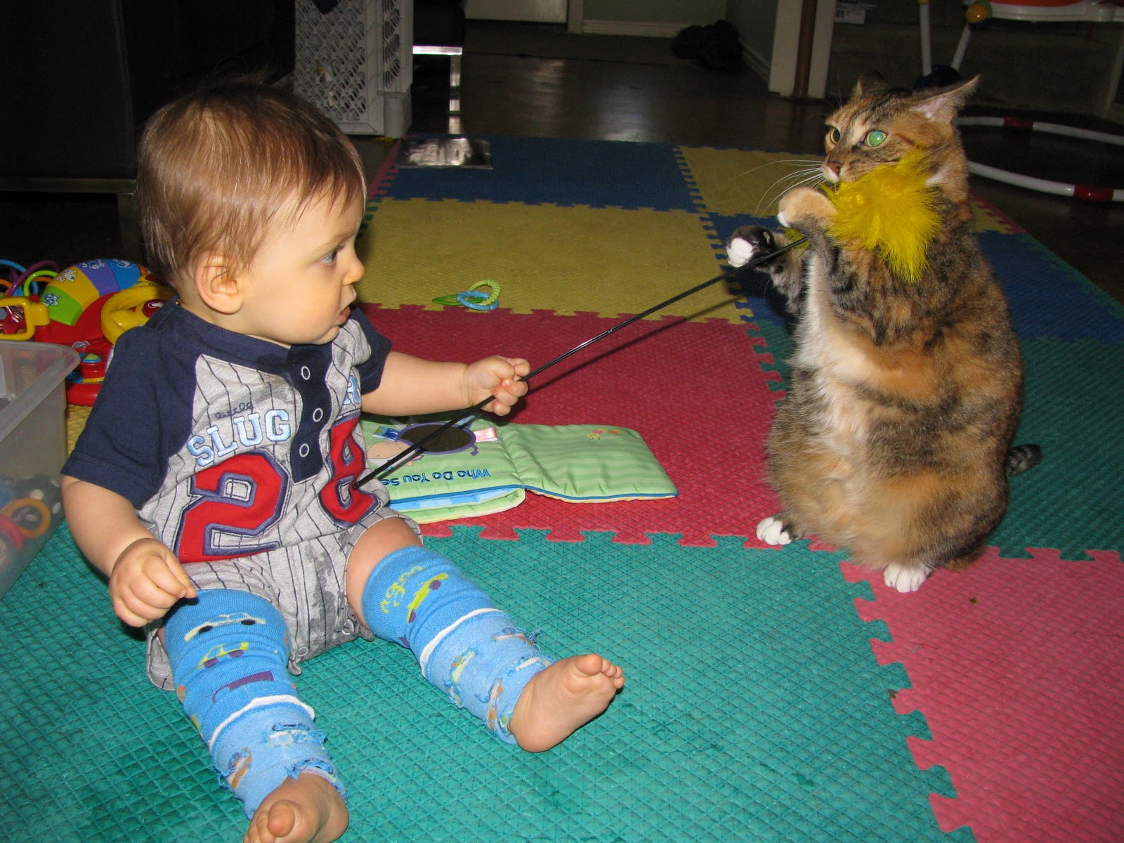 Little Crunchy Mama Babies and Pets