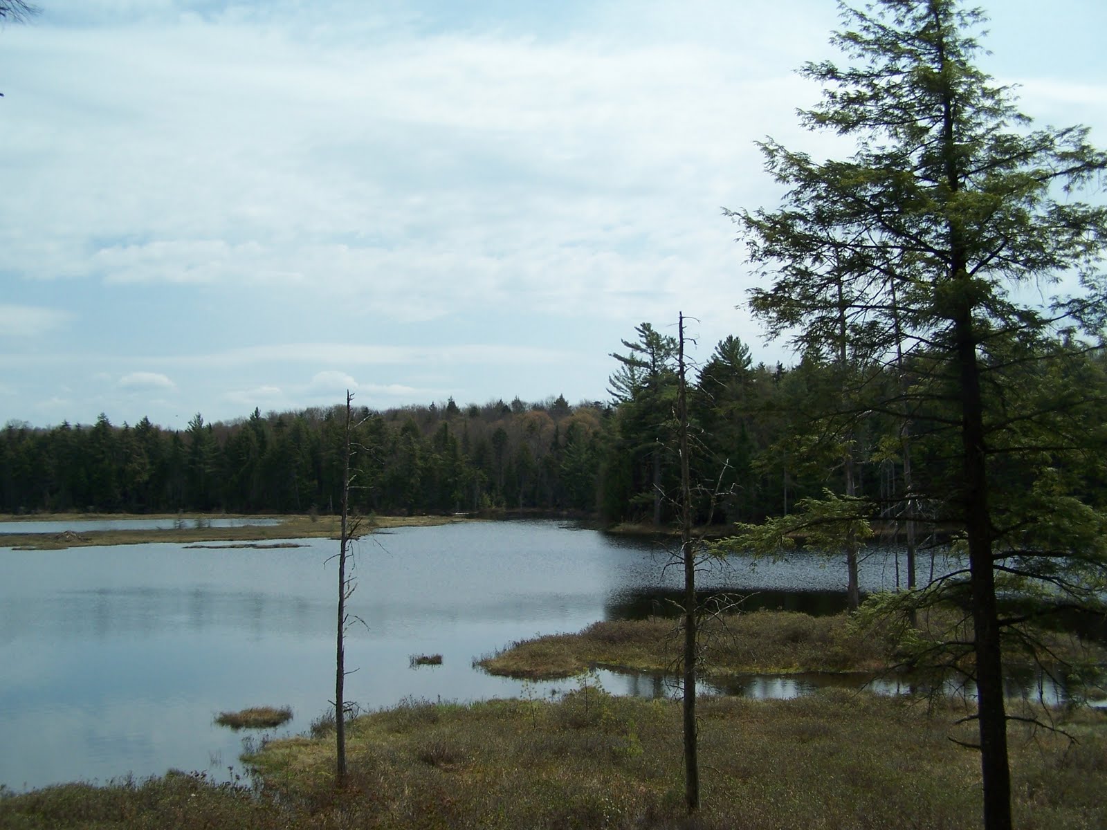 Quiet Kayaking in New York State Francis Lake, part one