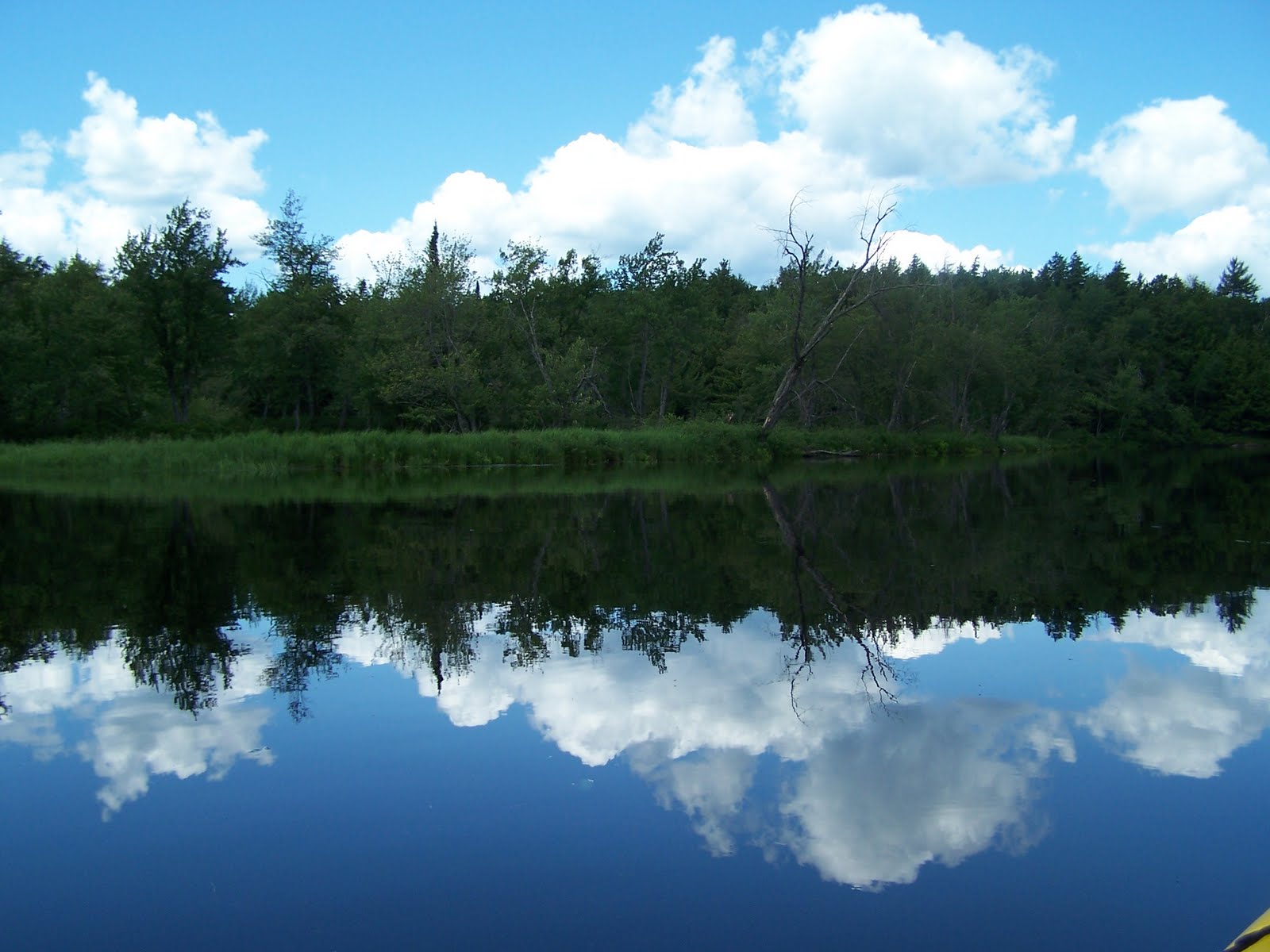 Quiet Kayaking in New York State West Branch of the Fish Creek