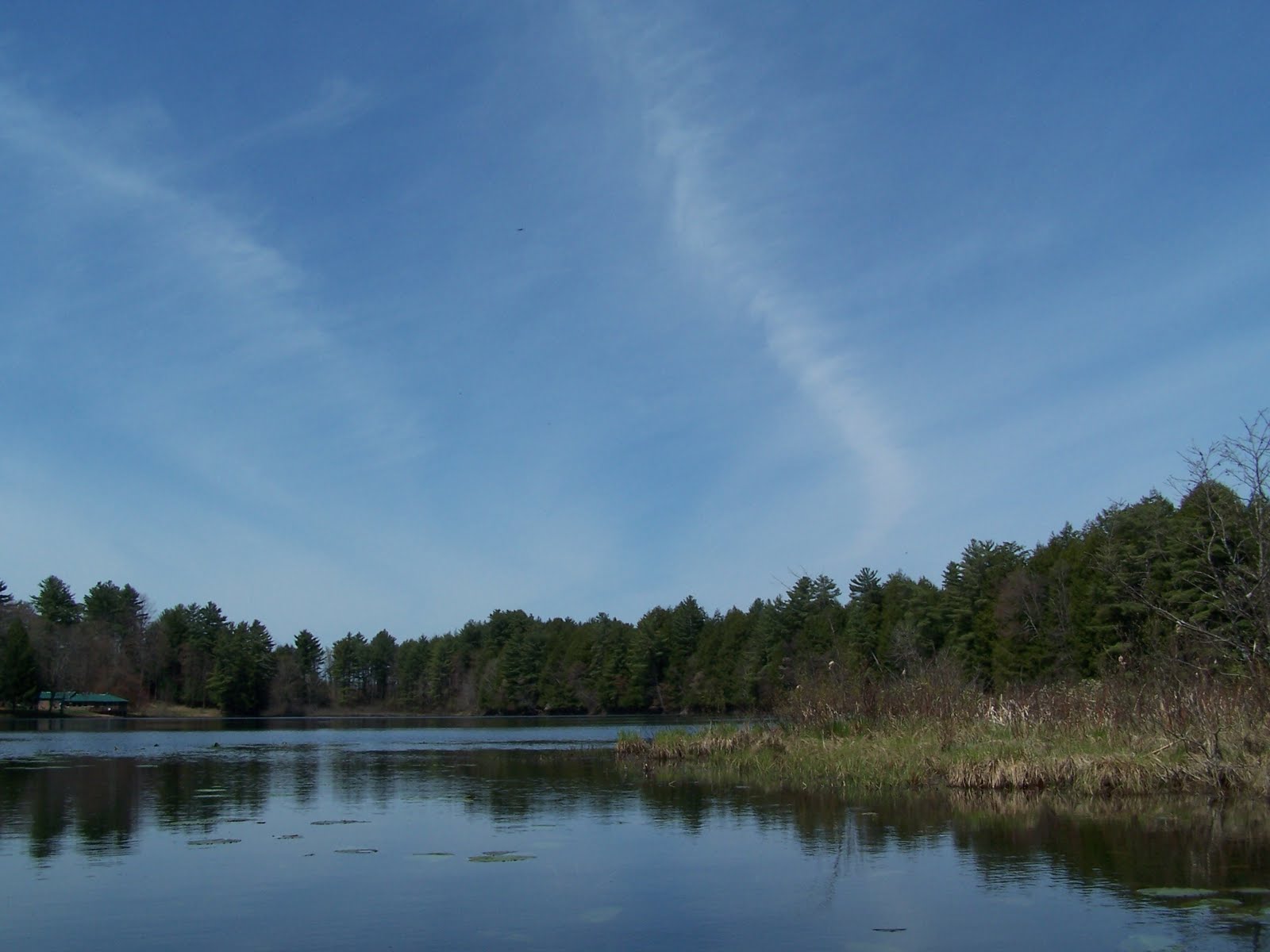 Quiet Kayaking in New York State West Branch of the Fish Creek
