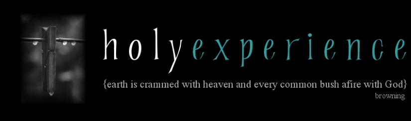 Holy Experience
