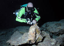 Cavediving in der Turle Tomb