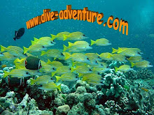 dive-adventure