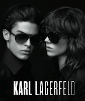 En voilà un Lion qui aurait plu à Only Lyon ! Karl+Optic+2000