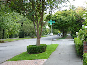 On the afternoon of August 21, on a quiet street in the Washington Park .