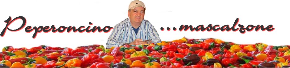 peperoncino mascalzone