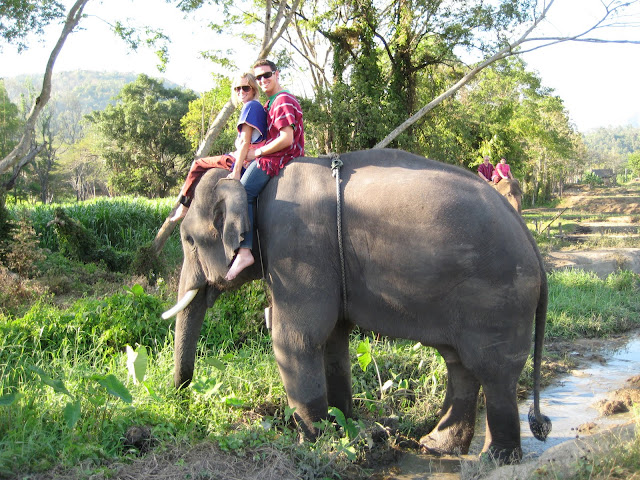 Elephant Riding in Thailand!