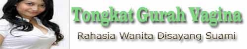 tongkat gurah vagina