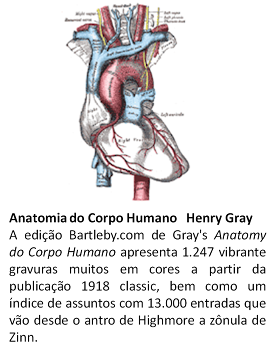 Anatomia do Corpo Humano