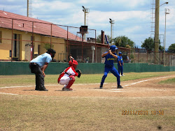 Atleta Trevisan rebatendo