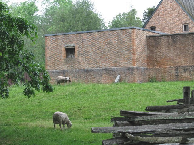 [IMG_0230.JPG]