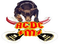 ACDC METALCAN´S