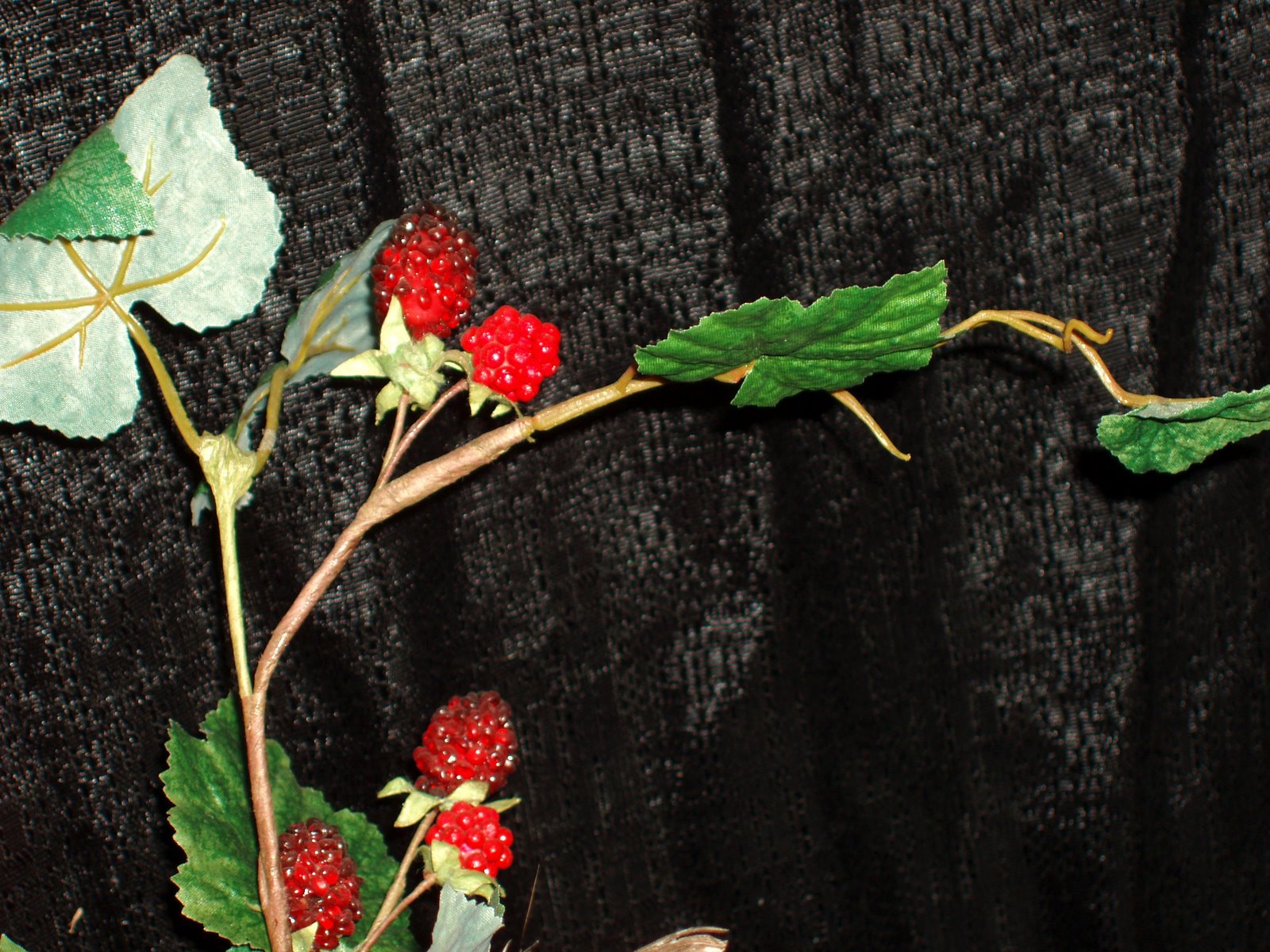 [Raspberry+Branch.JPG]