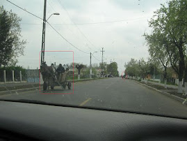 law of first february,without horses on road,look!