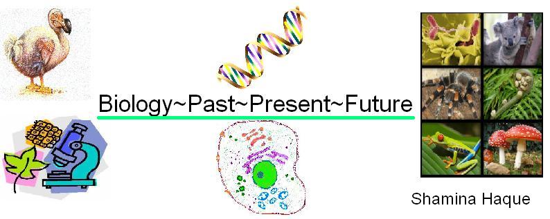 Biology~Past~Present~Future