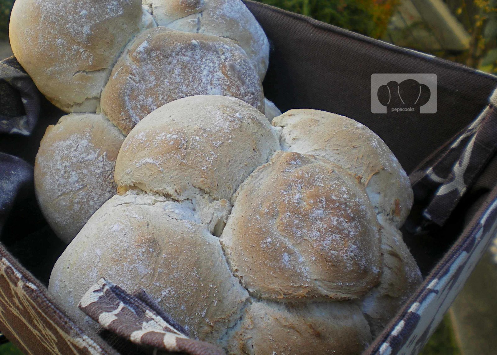 [BLOG-RECETAS---724.jpg]