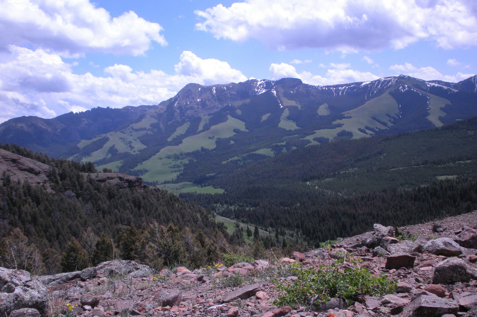Living and Dyeing Under the Big Sky Tom Miner Basin Views