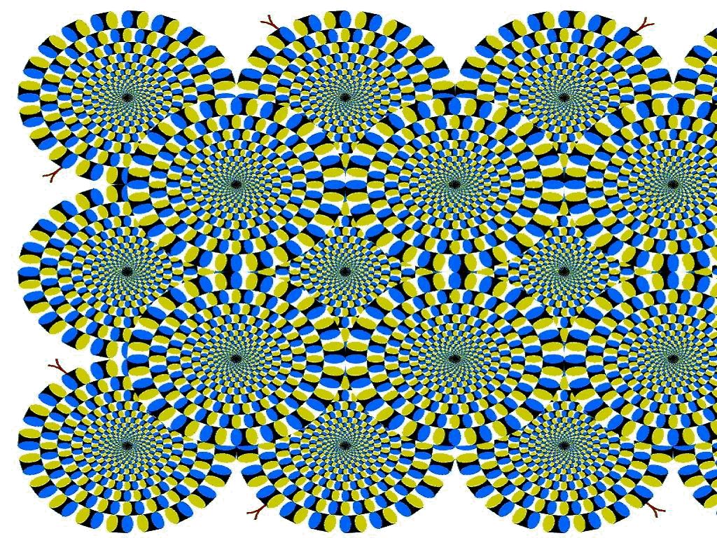 [illusion.jpg]