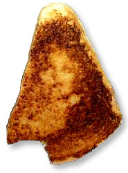 [marycheese.jpg]
