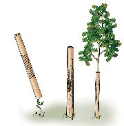 Tree tubes and Grow tubes