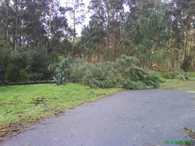 [DSC07342.JPG]