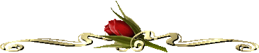 [1162575465.gif]