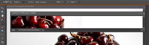 Bowl of Cherries - Header Image Bowl of Cherries - Header Image