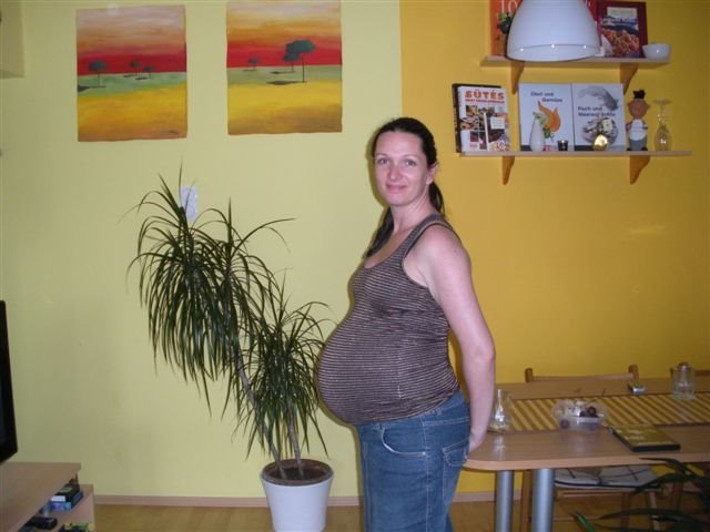[37+3e.JPG]