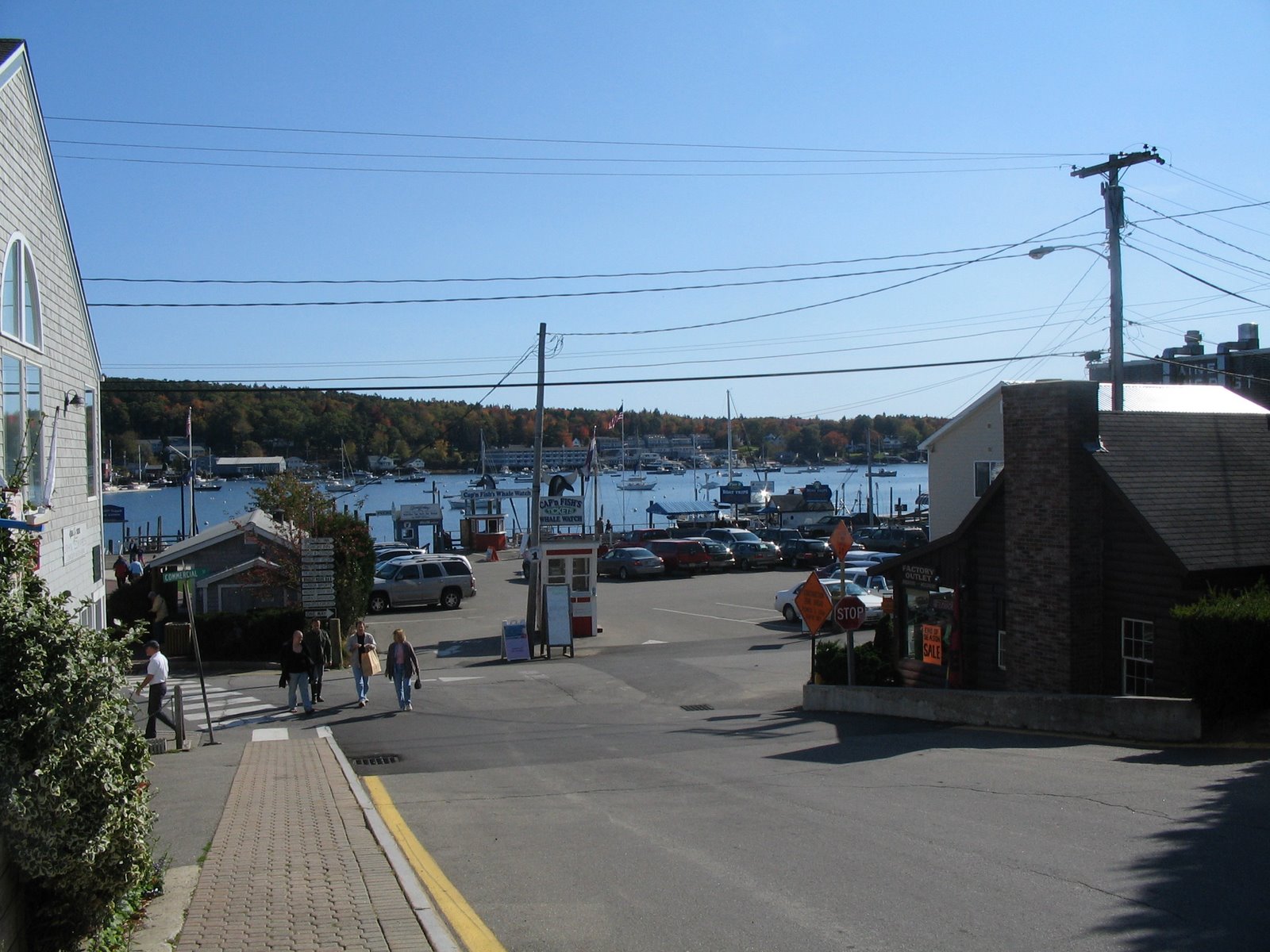 [IMG_0632.JPG]