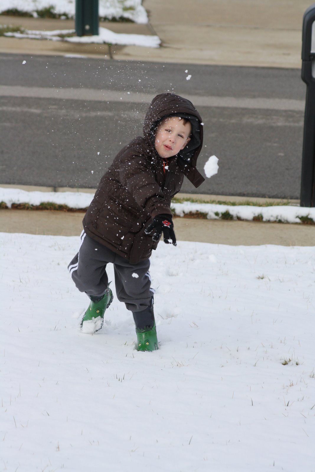 [beanie+babies+and+snow+034.jpg]