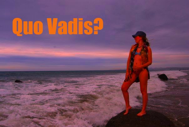Quo vadis.