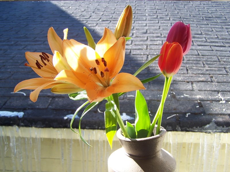 [flowers]