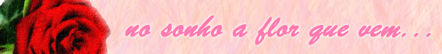 No sonho a Flor que vem...