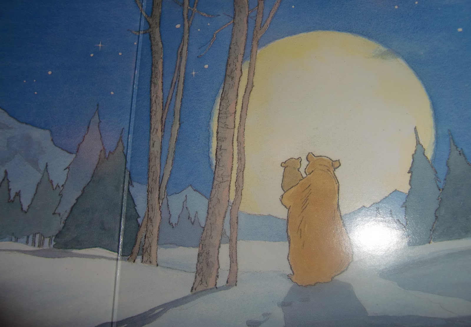 Een boek per dag: Welterusten... Kleine Beer