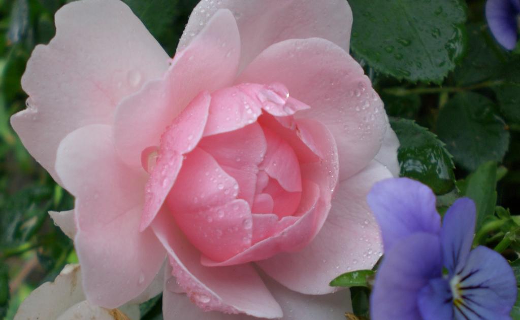 [komprimert+CIMG0053.JPG]