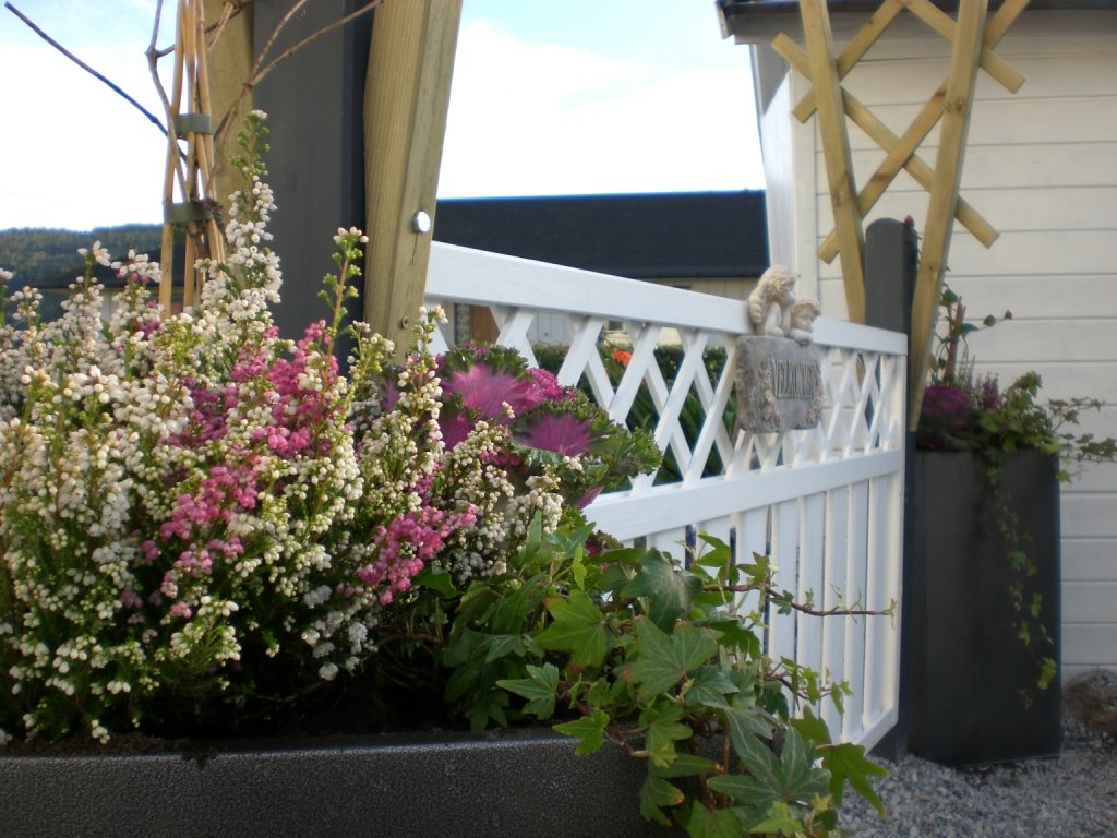 [komprimert+CIMG1007.JPG]